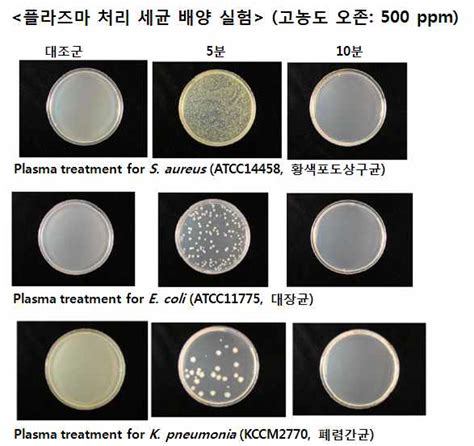 ppm 1000 분